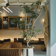 自然光のあるリラックス空間