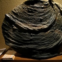 落ち着いた大人の遊び場