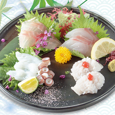 【刺身】旬魚刺身盛り