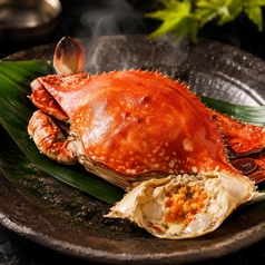 あなご料理専門店 青島のコース写真