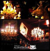ALBATROSS Gの雰囲気3