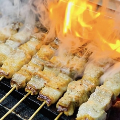 焼き鳥と細麺うどんのお店 梅乃庵の写真