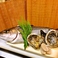 【その日仕入れた最高の食材をご提供！】カンパチ。タイラギ貝柱。壱岐産岩牡蠣！