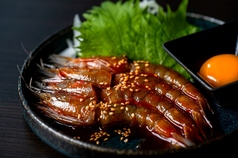 ニューカレドニア産 天使の海老のユッケ