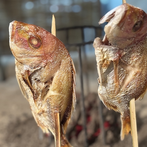 開宴！≪原始焼き 燗と≫魚を一番美味しくする原始焼きで魚料理を楽しむ…！