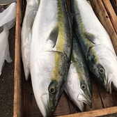 【旬の魚】その季節に合った魚を市場から仕入れてきます！