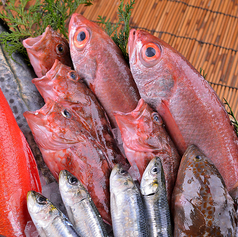 旬や産地にこだわり仕入れる魚介類