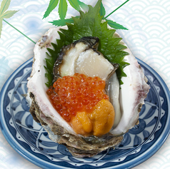 【島根県より岩牡蠣】かきスペシャル