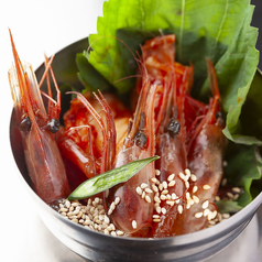 アンニョンの特集写真