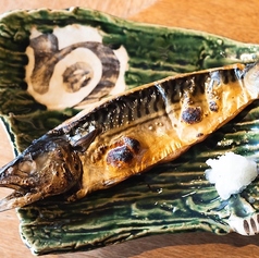 名古屋の魚が旨い店 サカナのハチベエ 名駅4丁目店の特集写真