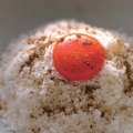 料理メニュー写真&nbsp;【ソイ】雪月見