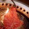 焼肉ハウス 大将軍　大泉店のおすすめポイント1