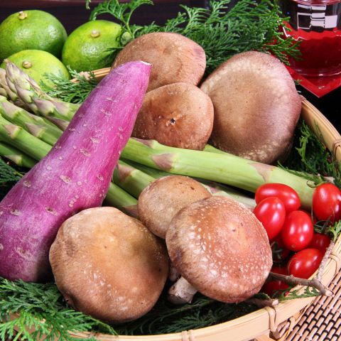 酒処 花吉 はなよし