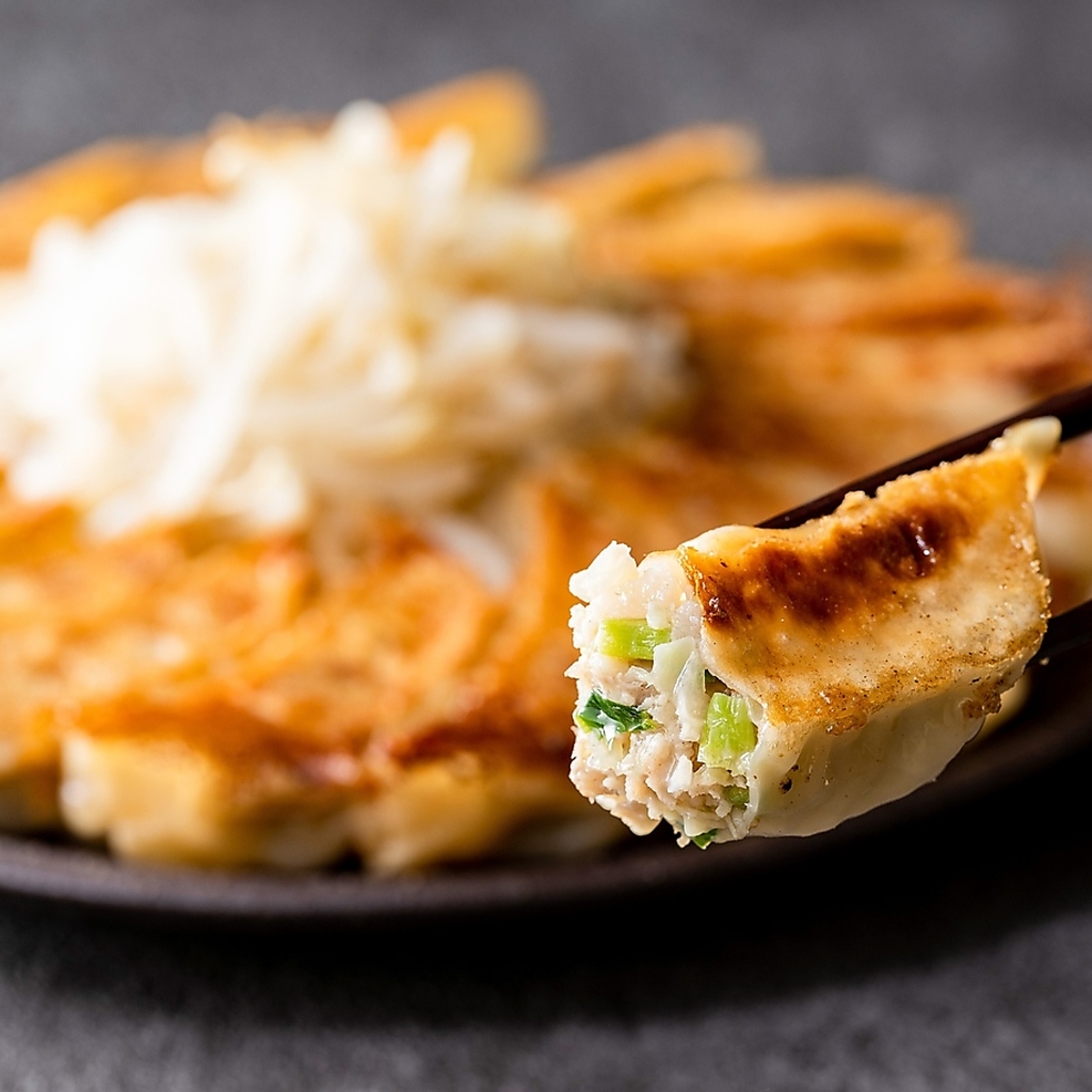 これぞ定番の浜松餃子！定食もできます。