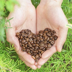 オーガニックコーヒー/アイスコーヒー