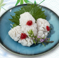 【明石より鱧】鱧湯引き