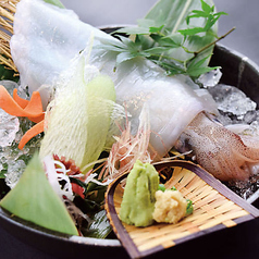 剣先いか姿造り後造り