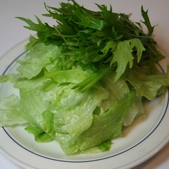 レタスと水菜の野菜セット