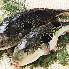 寅八商店 心斎橋店のコース写真