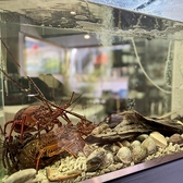 活魚水槽常に新鮮な宮崎の海の海水を足しつつ活きた伊勢海老や車海老、ヒラメが泳ぐ。海に沿って南北約400kmに及ぶ沿岸部のある宮崎県は豊富な種類の海産物が水揚げされます。海の幸を新鮮なままお客様にお届けいたします。