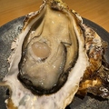 料理メニュー写真&nbsp;広島県産 殻付牡蠣　1個