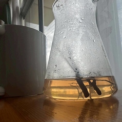 元氣コーヒーの写真2