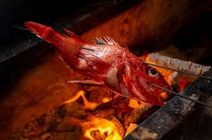 本日鮮魚 炭火焼き