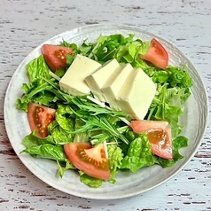 温玉シーザーサラダ/豆腐チョレギサラダ