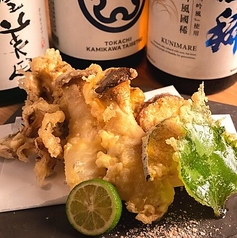 旬を味わう!季節のサクサク天ぷら盛り