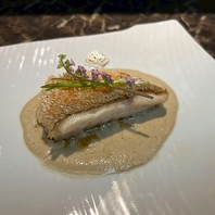 おまかせコースで、特別な日を華やかに演出◎