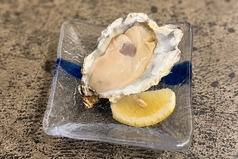 兵庫県坂越湾フレッシュオイスター(1粒)/Fresh oyster