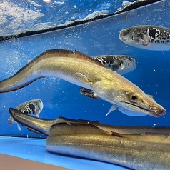 ふぐ 蟹 鱧料理 雅の写真