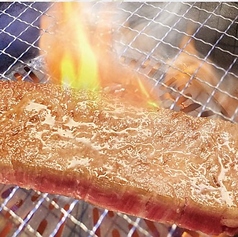 【店長のイチオシ】ささみステーキ(80g)/【希少部位】ほぼシャトーブリアン(100g)