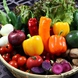 色とりどりの旬野菜を贅沢に使用！