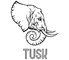 TUSKのロゴ