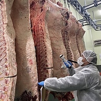 黒毛和牛A5ランクへのこだわり