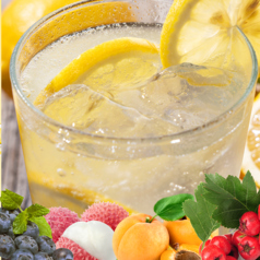 詠唱源の果実酒サワー【５種類】