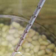 【お通しへのこだわり！】自家製のお豆腐！