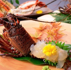 あいよ 札幌駅 北3条店のコース写真