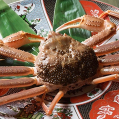 金沢港、輪島港、直送!『加能蟹の一杯売り』(石川県産ズワイ蟹)※11月7日~期間限定