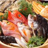 鮮魚の旨味を熟成と藁焼きでランクアップ！鮮度と旨みを閉じ込めた熟成魚は超おすすめです！氷温熟成という特殊冷蔵技術で見事に魚の旨味を引き出しています。