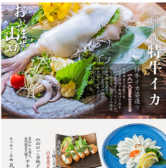 特牛イカの姿造り