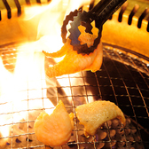 鳥焼肉はじめましたの巻のおすすめ料理2