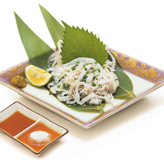 白センマイ刺し