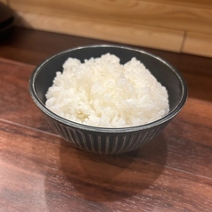 白ごはん
