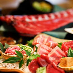 マグロ専門居酒屋 とろ屋 銀座インズ店のおすすめポイント1