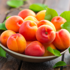 詠唱源のあんずのお酒　杏露酒(しんるちゅう)