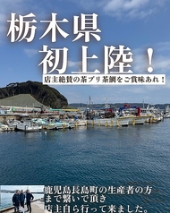 和食ダイニング かもめ特集写真1