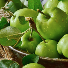 詠唱源の青リンゴのお酒　林檎酒(りんちんちゅう)