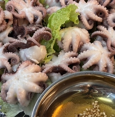 ぷりぷりイイタコ茹で